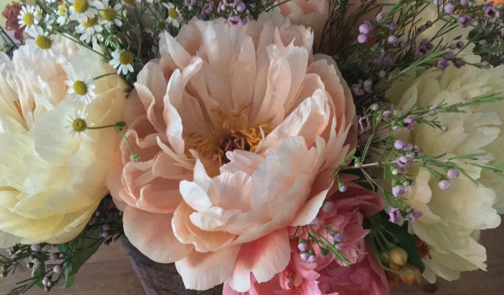 Peony - more than just a gorgeous flower!