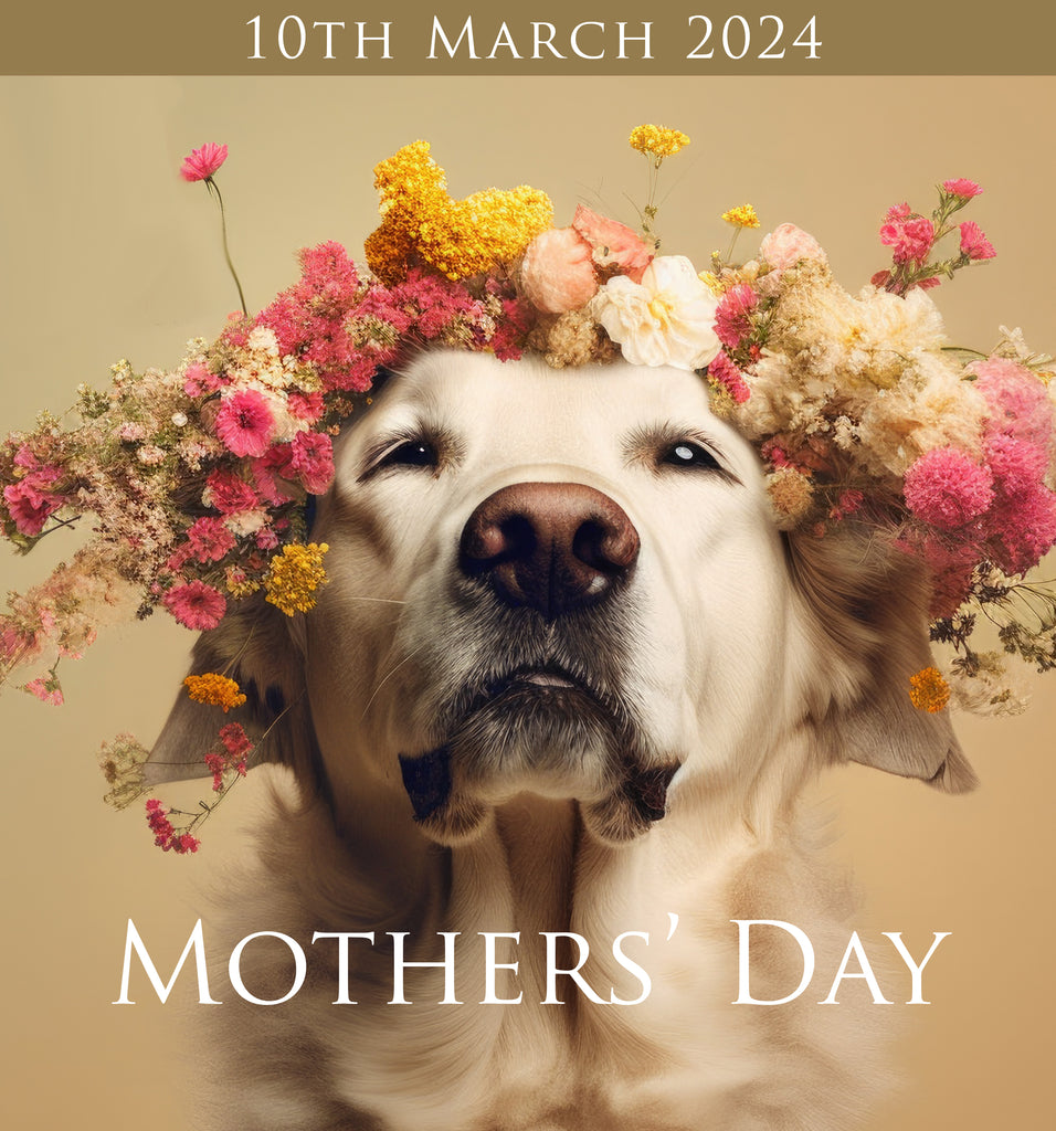An (almost) unique Mothers' Day!